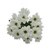 Хризантема Tr Kennedy Whire 70см, Модель: 0, зображення 2 | Доставка квітів Шарм24