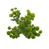 Хризантема Tr Feeling Green Dark L70, Модель: 0, фото 4 | Доставка цветов Шарм24