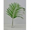 Лист пальмы Феникс 60 см, Модель: 0, фото 5 | Доставка цветов Шарм24