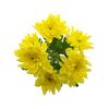 Хризантема Tr Baltica Yellow, Модель: 0, зображення 2 | Доставка квітів Шарм24
