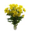 Хризантема Tr Baltica Yellow, Модель: 0, зображення 3 | Доставка квітів Шарм24