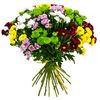 Хризантема Tr Mix, Модель: 0, зображення 3 | Доставка квітів Шарм24