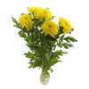 Хризантема G Магнум жовта, Модель: 0, фото 3 | Доставка цветов Шарм24