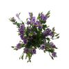 Еустома G Lavender L75, Модель: 0, зображення 4 | Доставка квітів Шарм24