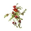Фрезія Du Mandarine L50, Модель: 0, зображення 4 | Доставка квітів Шарм24