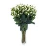 Гиперикум Coco Uno White, Модель: 0, фото 2 | Доставка цветов Шарм24