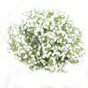 Гіпсофила Beauty Bride, Модель: 0, зображення 2 | Доставка квітів Шарм24