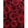 Букет з червоних троянд 55шт., Модель: 0, зображення 3 | Доставка квітів Шарм24