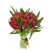 Букет з червоних тюльпанів 55 шт, Модель: 0, зображення 2 | Доставка квітів Шарм24