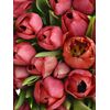 Букет з червоних тюльпанів 55 шт, Модель: 0, зображення 3 | Доставка квітів Шарм24