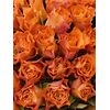 Букет из оранжевых роз 101шт., Модель: 0, фото 3 | Доставка цветов Шарм24
