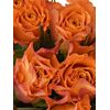 Букет из оранжевых роз 25шт., Модель: 0, фото 3 | Доставка цветов Шарм24