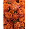Букет из оранжевых роз 55шт., Модель: 0, фото 3 | Доставка цветов Шарм24