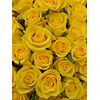 Букет из желтых роз 101шт., Модель: 0, фото 3 | Доставка цветов Шарм24