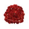 Гвоздика St Red Magic, Модель: 0, зображення 4 | Доставка квітів Шарм24