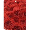 Гвоздика St Red Magic, Модель: 0, зображення 5 | Доставка квітів Шарм24