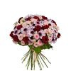 Букет "VENERA", Модель: 0, фото 2 | Доставка цветов Шарм24