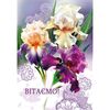 Открытка А5 "Вітаємо!" Et-K-1023у, Модель: 0 | Доставка цветов Шарм24