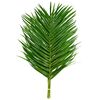Лист пальмы Феникс 60 см, Модель: 0 | Доставка цветов Шарм24