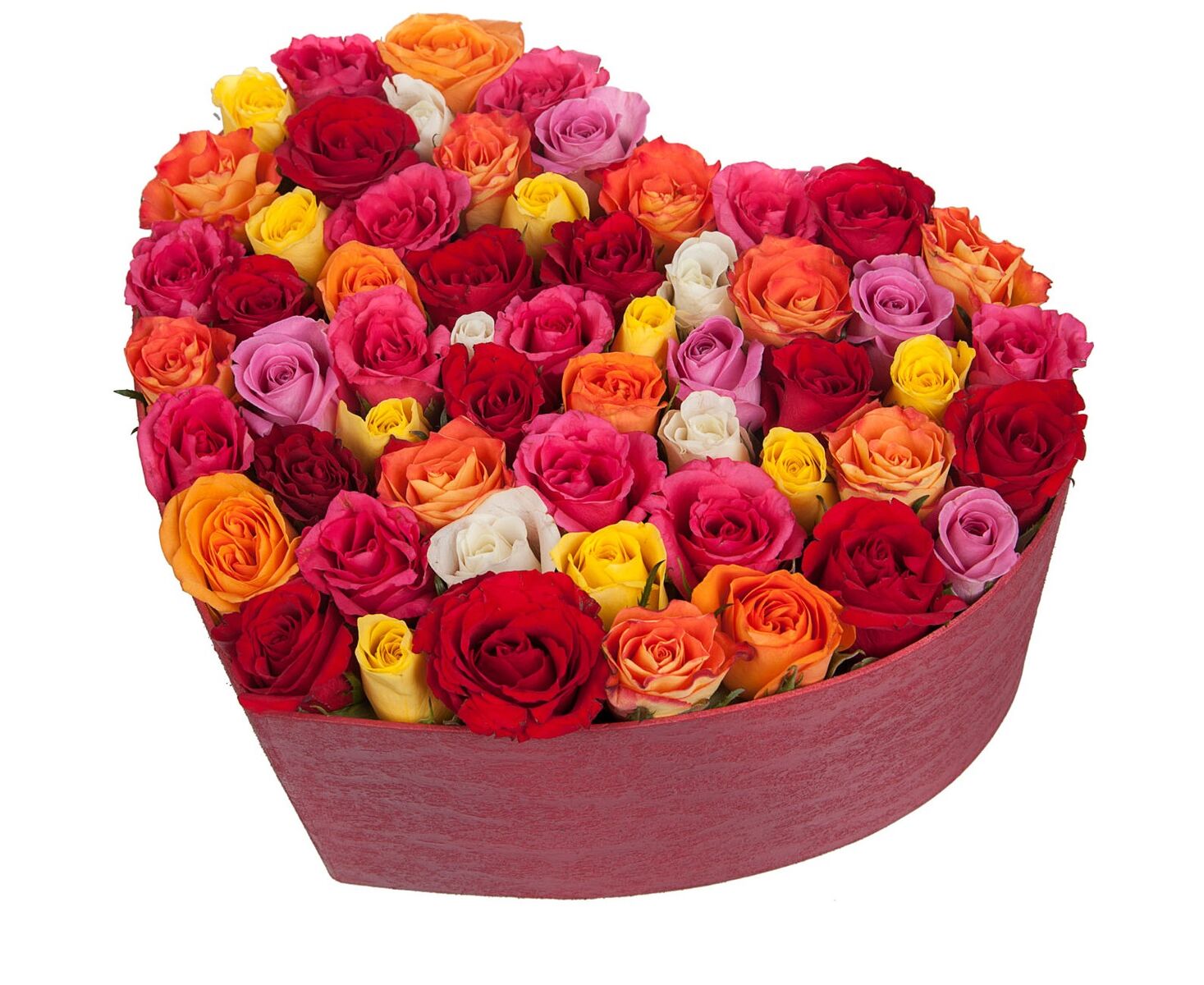 Купить розы микс. Коробка "микс 25 роз Кения". Букет роз. Огромный букет.