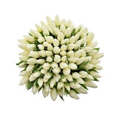 Букет з білих тюльпанів 100шт, Модель: 0 | Доставка квітів Шарм24