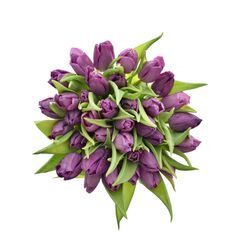 Букет з фіолетових тюльпанів 35 шт, Модель: 0 | Доставка квітів Шарм24