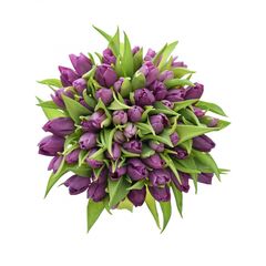 Букет з фіолетових тюльпанів 55 шт, Модель: 0 | Доставка квітів Шарм24