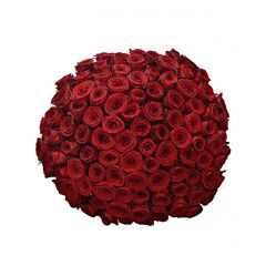 Букет з червоних троянд 101шт., Модель: 0 | Доставка квітів Шарм24