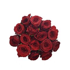 Букет з червоних троянд 15шт., Модель: 0 | Доставка квітів Шарм24