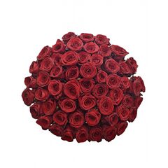 Букет з червоних троянд 55шт., Модель: 0 | Доставка квітів Шарм24