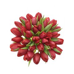 Букет з червоних тюльпанів 35 шт, Модель: 0 | Доставка квітів Шарм24