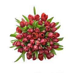 Букет з червоних тюльпанів 55 шт, Модель: 0 | Доставка квітів Шарм24
