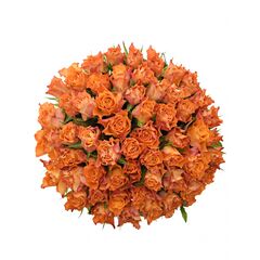 Букет з помаранчевих троянд 55шт., Модель: 0 | Доставка квітів Шарм24