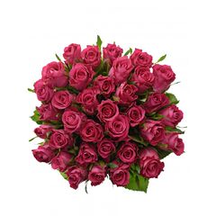 Букет з рожевих троянд 25шт., Модель: 0 | Доставка квітів Шарм24