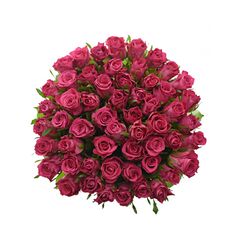 Букет из розовых роз 55шт., Модель: 0 | Доставка цветов Шарм24