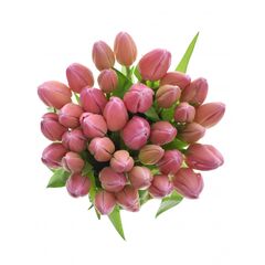 Букет из розовых тюльпанов 35 шт, Модель: 0 | Доставка цветов Шарм24