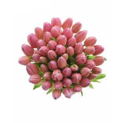 Букет из розовых тюльпанов 55 шт, Модель: 0 | Доставка цветов Шарм24