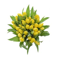 Букет из жёлтых тюльпанов 35 шт, Модель: 0 | Доставка цветов Шарм24
