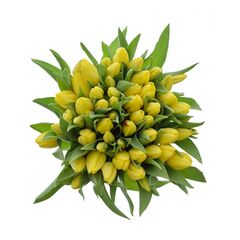 Букет з жовтих тюльпанів 55 шт, Модель: 0 | Доставка квітів Шарм24