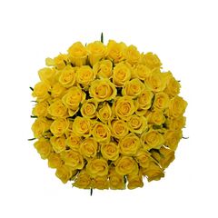 Букет из желтых роз 55шт., Модель: 0 | Доставка цветов Шарм24