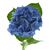 Гортензія M Bodensee Bl L60, Модель: 0 | Доставка квітів Шарм24