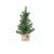 Ёлка, 35 см. в горшке, Модель: 0 | Доставка цветов Шарм24