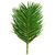 Лист пальмы Феникс 60 см, Модель: 0 | Доставка цветов Шарм24