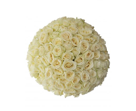Букет из белых роз 101шт., Модель: 0 | Доставка цветов Шарм24