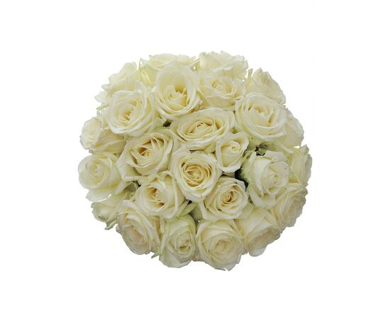 Букет из белых роз 25шт., Модель: 0 | Доставка цветов Шарм24