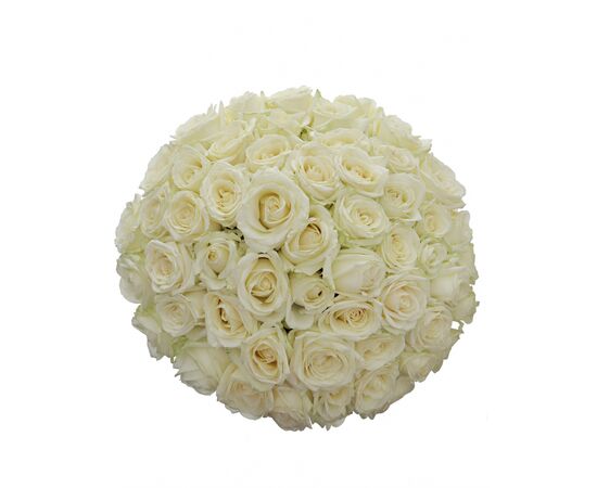 Букет из белых роз 55шт., Модель: 0 | Доставка цветов Шарм24
