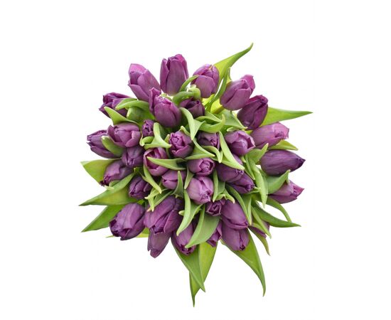 Букет из фиолетовых тюльпанов 35 шт, Модель: 0 | Доставка цветов Шарм24