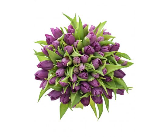 Букет з фіолетових тюльпанів 55 шт, Модель: 0 | Доставка квітів Шарм24