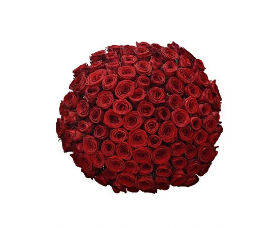 Букет из красных роз 101шт., Модель: 0 | Доставка цветов Шарм24