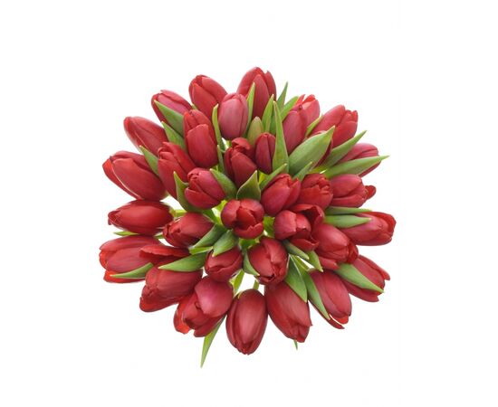 Букет з червоних тюльпанів 35 шт, Модель: 0 | Доставка квітів Шарм24